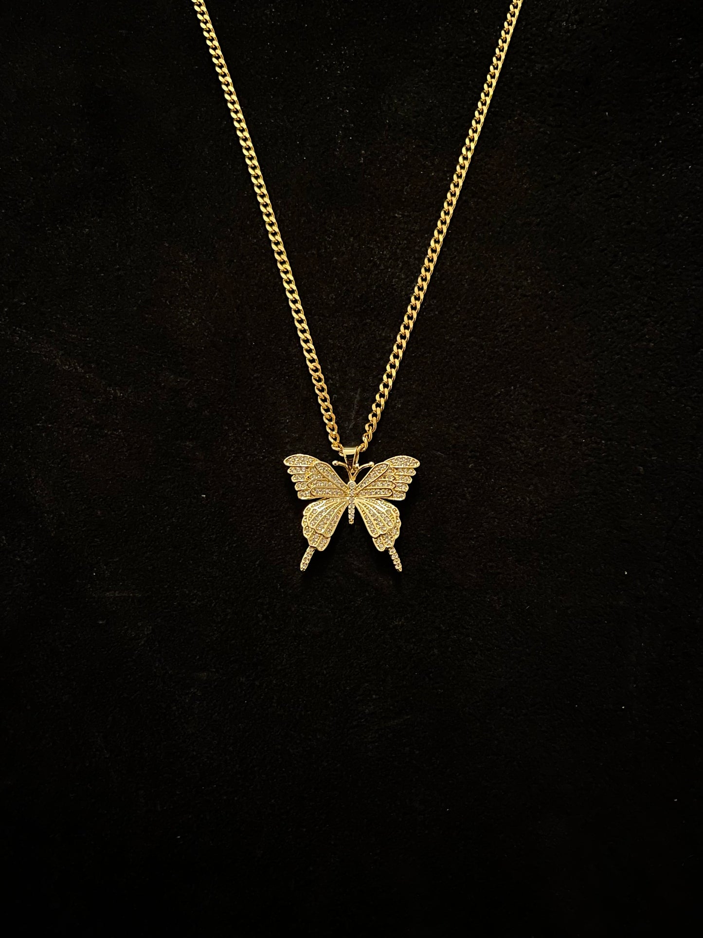 Golden Swallowtail